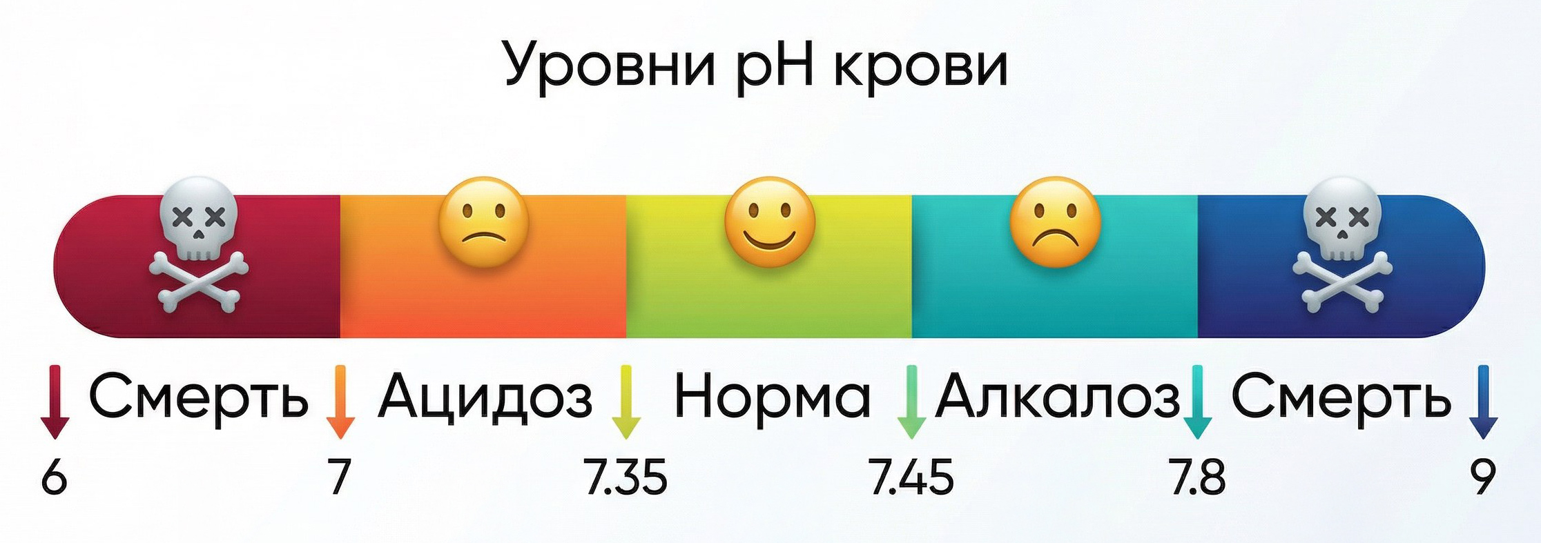 Кислотно-щелочной баланс