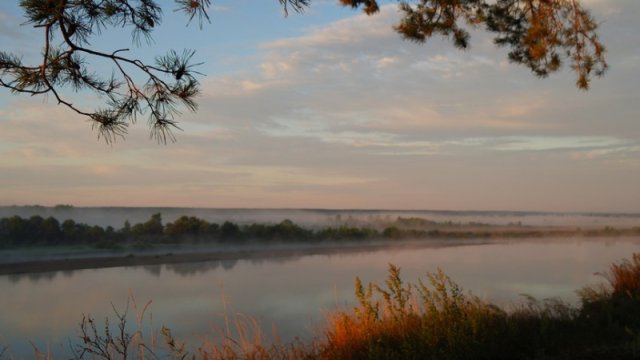 sam_0524