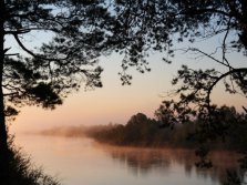 sam_0516