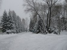 img_0190