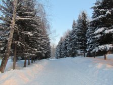 Аллея